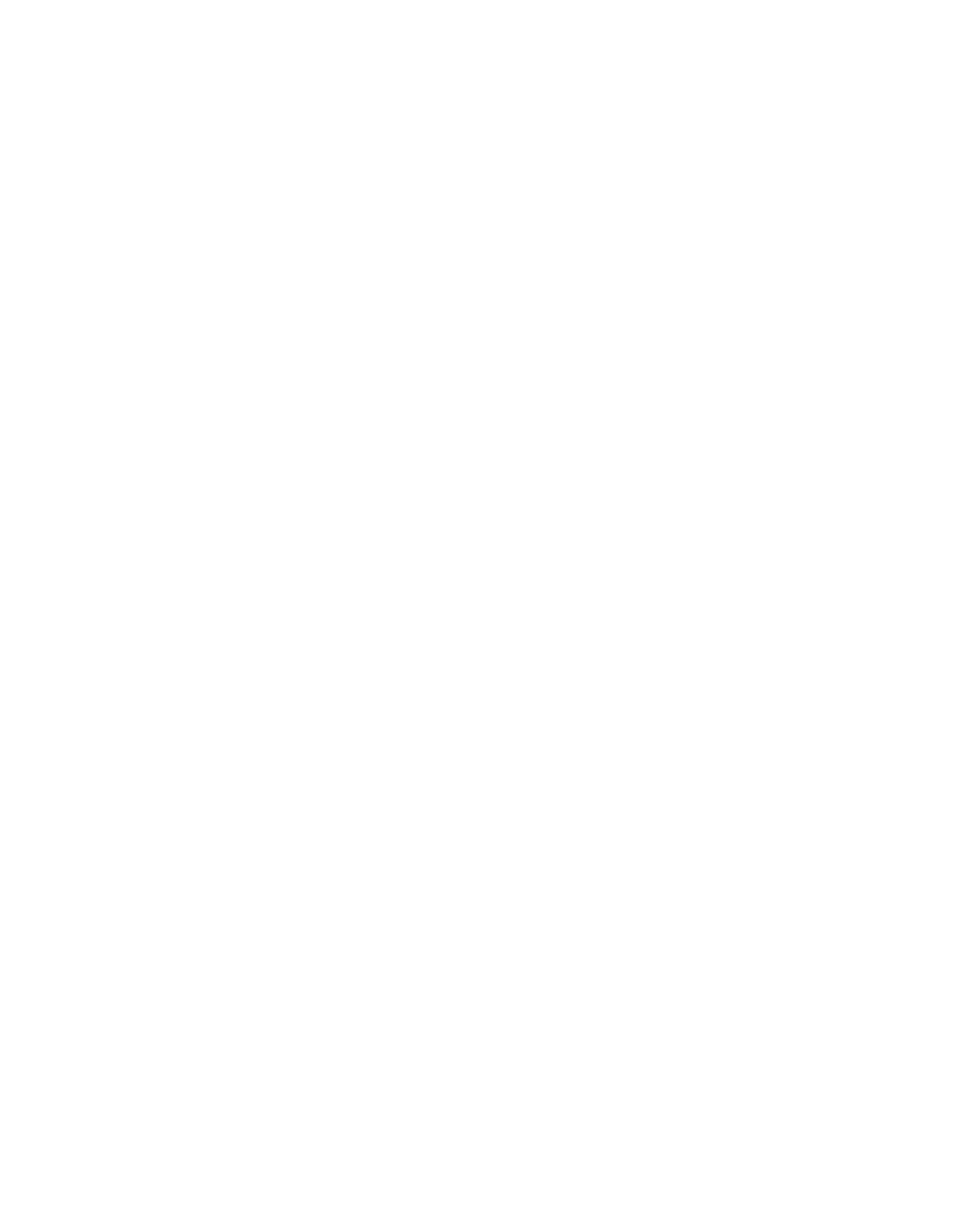 IBHAP-Foundation-logo white